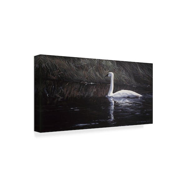 Ron Parker 'Summer River' Canvas Art,16x32